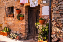 laundry Voltera